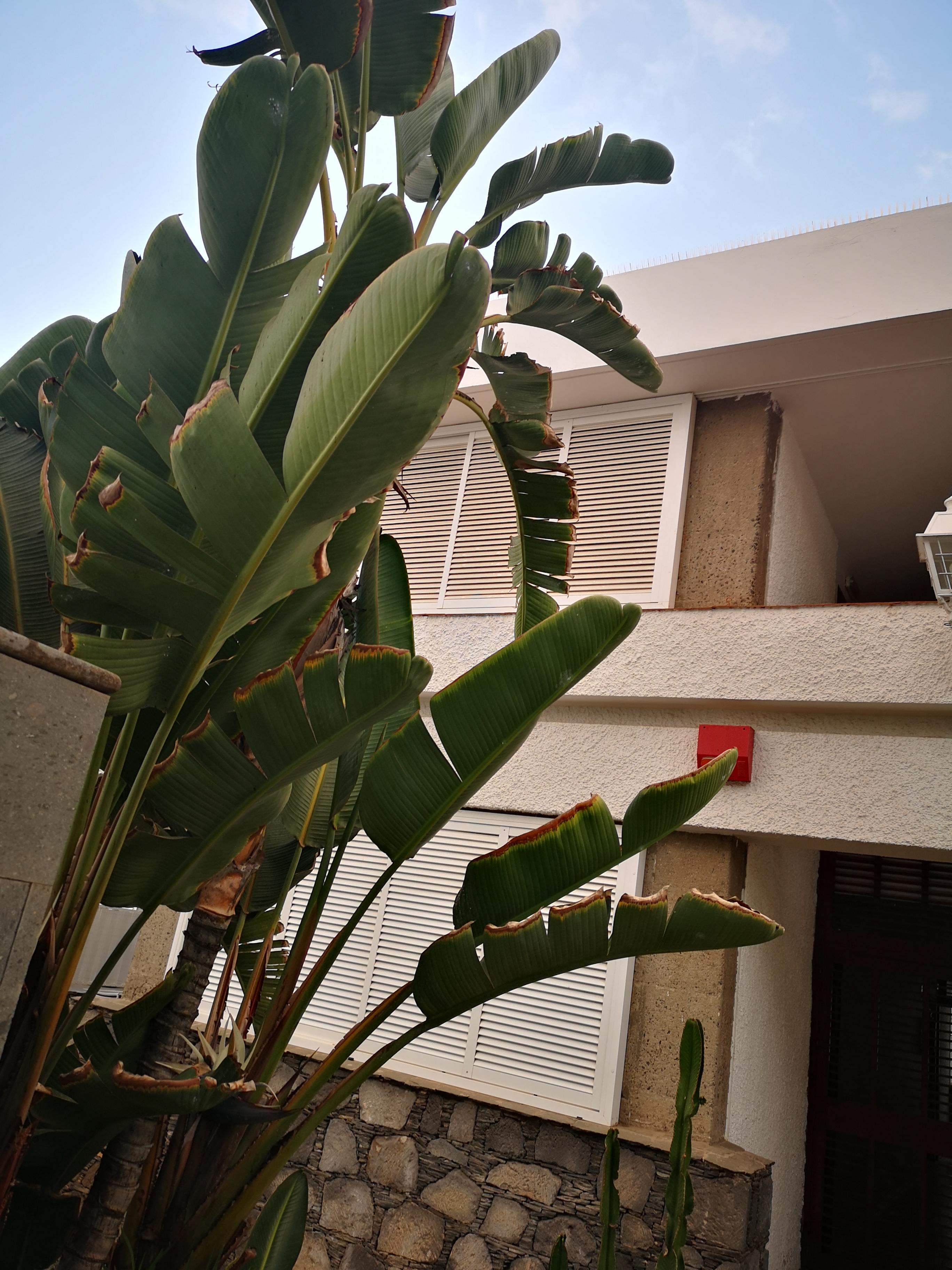 Apartamentos Tamara Maspalomas  Exteriér fotografie