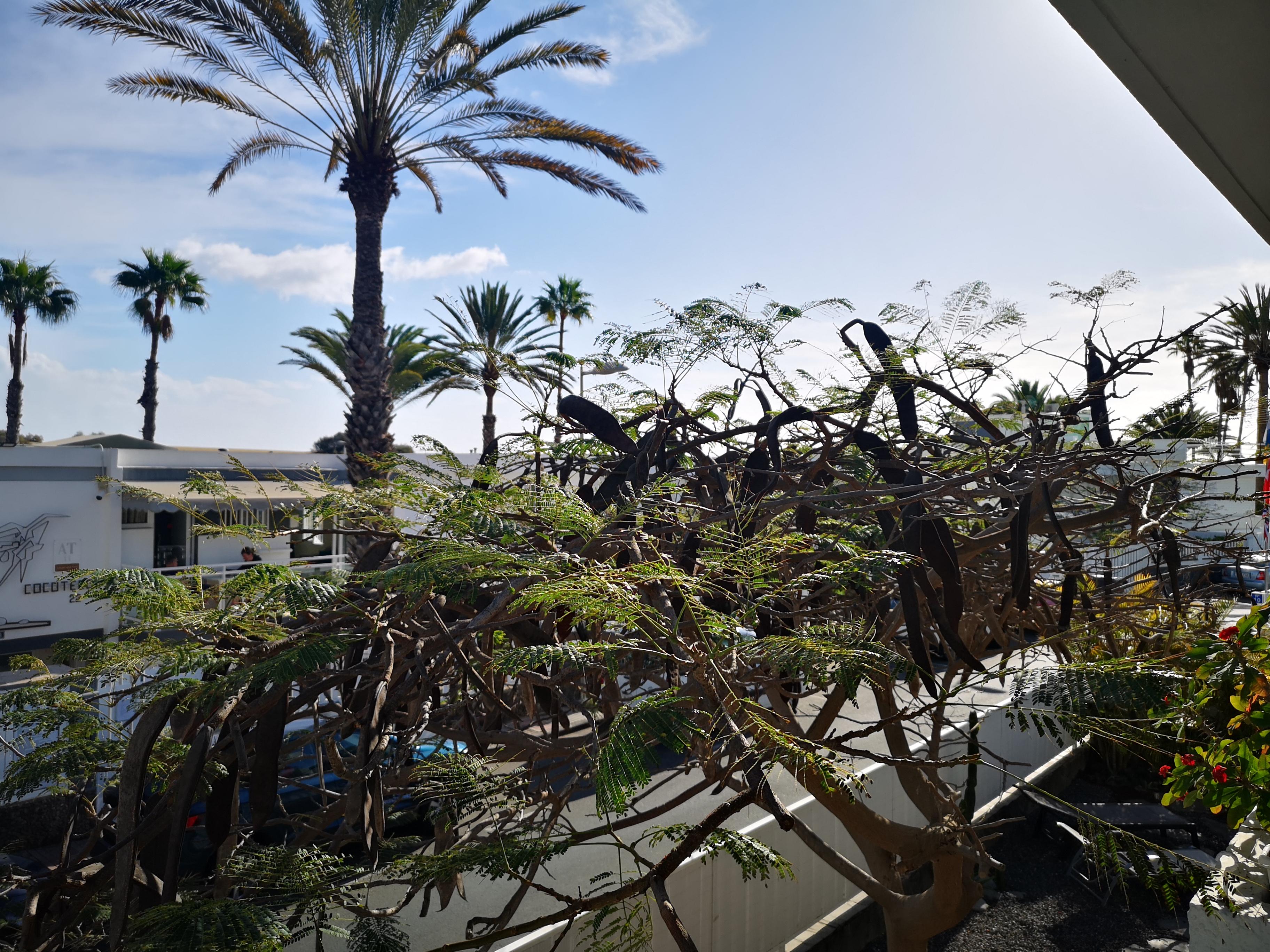 Apartamentos Tamara Maspalomas  Exteriér fotografie