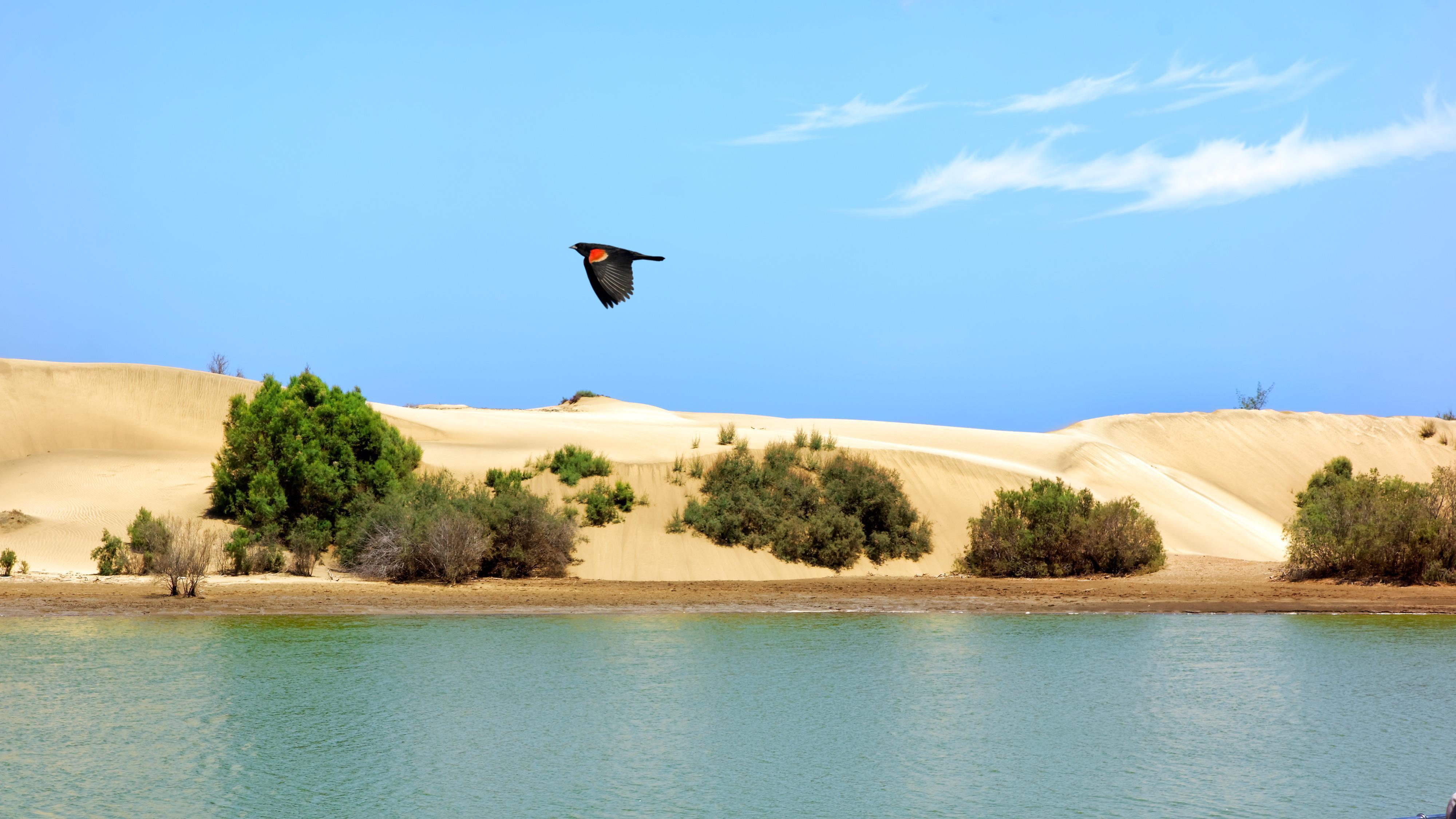 Apartamentos Tamara Maspalomas  Exteriér fotografie