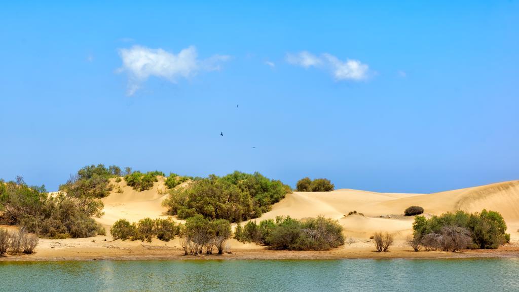 Apartamentos Tamara Maspalomas  Exteriér fotografie